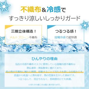 冷感マスク プリーツマスク バイカラー 不織布...の詳細画像2