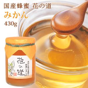 国産はちみつ 3種類選べる蜂蜜ギフト 140g 3本 ギフト : 九州蜂の子