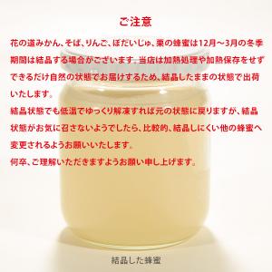 国産蜂蜜 花の道 りんご 140gの詳細画像1