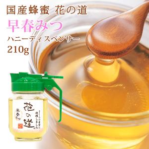 2026年新蜜 国産はちみつ花の道 早春みつ（さくら）140g : 九州蜂の子