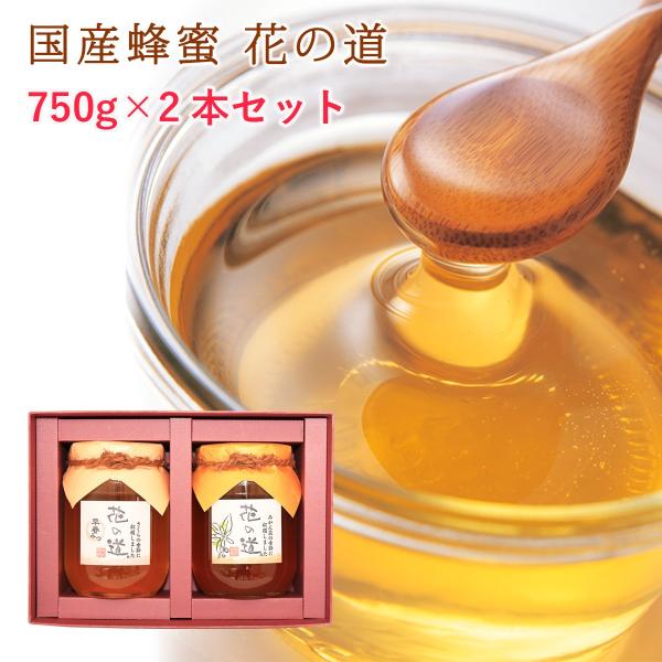 国産はちみつ 2種類選べる蜂蜜ギフト 750g 2本 ギフト