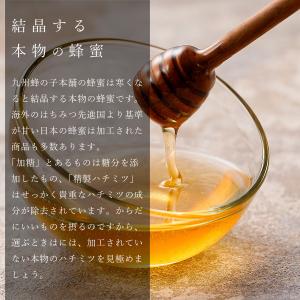 プロポリス入りはちみつ 森の精 160g 3個...の詳細画像3