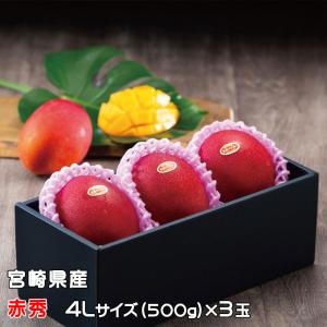 完熟 マンゴー Lサイズ6玉（約2kg） 秀品 宮崎県産 母の日 父の日