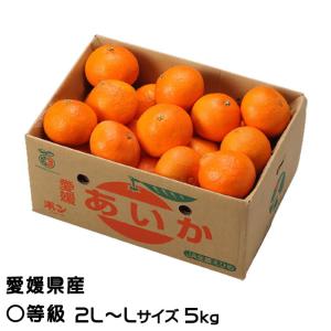 みかん あいか 〇等級 2L〜Lサイズ 5kg 紅まどんなと同品種 JAえひめ中央 中島選果場 蜜柑 ミカン ギフト お取り寄せ
