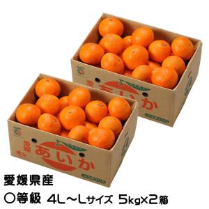 アールグレイ（プロフ必読）　ご家庭用まどんな　10Kg 紅まどんな（家庭用）10kg 送料無料 不揃い 愛媛県産 ゼリー食感