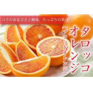 みかん タロッコオレンジ ブラッドオレンジ 風...の詳細画像4