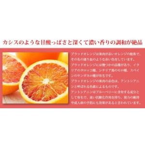 みかん タロッコオレンジ ブラッドオレンジ 風...の詳細画像5