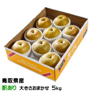 梨 秋甘泉 あきかんせん ちょっと訳あり 大きさおまかせ 5kg 鳥取県産 ナシ なし 新甘泉 姉妹品種