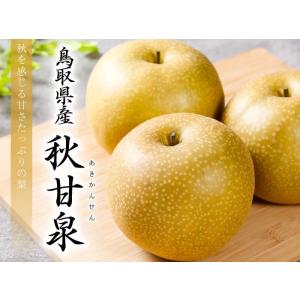 梨 秋甘泉 あきかんせん ちょっと訳あり 大き...の詳細画像4