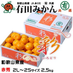 みかん 有田みかん 彩いろどり 赤秀 2L〜2S 2.5kg 高糖度厳選品 和歌山県産 JAありだ マル有共選 ミカン 蜜柑 ギフト