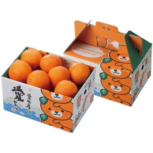 愛果28号 紅まどんな 訳あり 小玉〜中玉混合 みかん 箱買い 約5kg