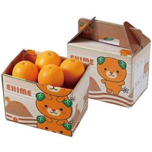 ☆愛果28号5kg家庭用（贈答用レベル）紅まどんなと同品種 : しこく市場