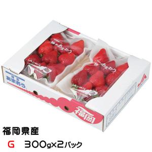 いちご あまおう グランデ Ｇ 300ｇ×2パック 福岡県産 苺 イチゴ ギフト お取り寄せ