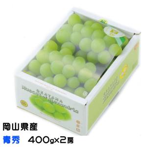 お中元 ぶどう マスカット オブ アレキサンドリア 青秀 400g×2房 岡山県産 ＪＡおかやま 葡萄 ブドウ
