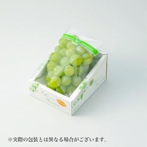 ぶどう マスカット オブ アレキサンドリア 風...の詳細画像1