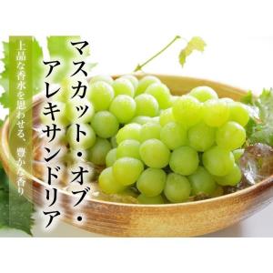 ぶどう マスカット オブ アレキサンドリア 風...の詳細画像5