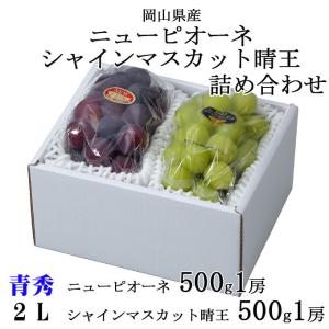 お中元 ぶどう 詰め合わせ 青秀 2Lサイズ ニューピオーネ 500g×1房 シャインマスカット晴王 500g×1房 岡山県産｜hachiya-fruits