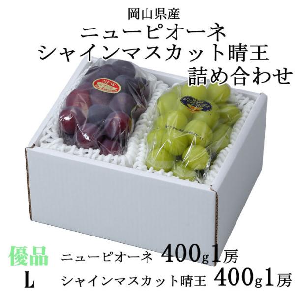 お中元 ぶどう 詰め合わせ 優品 Lサイズ ニューピオーネ 400g×1房 シャインマスカット晴王 ...