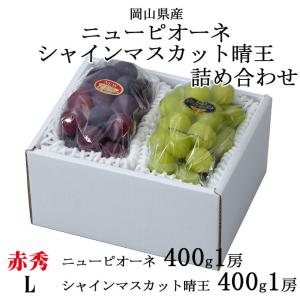 ぶどう 詰め合わせ 赤秀 Lサイズ ニューピオーネ 400g×1房 シャインマスカット晴王 400g×1房 岡山県産