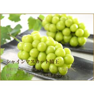 ぶどう 詰め合わせ 赤秀 Lサイズ ニューピオ...の詳細画像2