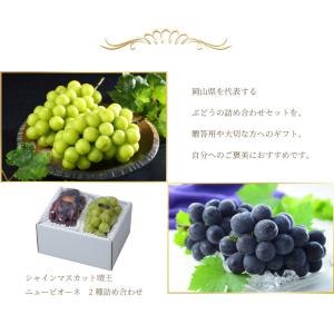 ぶどう 詰め合わせ 赤秀 Lサイズ ニューピオ...の詳細画像4