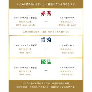 ぶどう 詰め合わせ 赤秀 Lサイズ ニューピオ...の詳細画像5