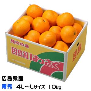 紅八朔　不知火　15kg箱 紅八朔 因島産 Mサイズ 箱込15kg 【農薬：栽培期間中不使用】 防腐剤無