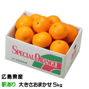 紅八朔 べにはっさく 風のいたずら ちょっと訳あり 大きさおまかせ 5kg 広島県産 JA尾道市 因島選果場 送料無料 ハッサク みかん