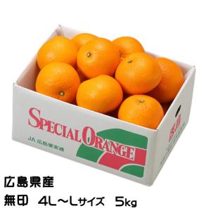 石地みかん 秀品 10kg 広島 瀬戸田産 いしじみかん 秀品みかん 贈答用