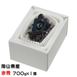 ぶどう 美王 びおう 赤秀 700g×1房 びほく 天空の実り ニューピオーネ 葡萄 ブドウ