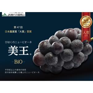ぶどう 美王 びおう 赤秀 700g×1房 び...の詳細画像1