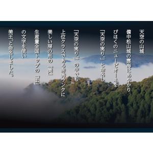 ぶどう 美王 びおう 赤秀 700g×1房 び...の詳細画像2