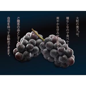 ぶどう 美王 びおう 赤秀 700g×1房 び...の詳細画像3