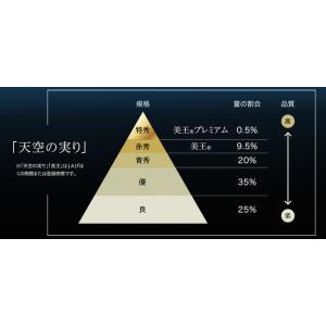 ぶどう 美王 びおう 赤秀 700g×1房 び...の詳細画像5