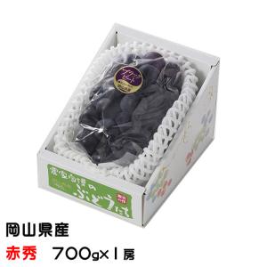 お中元 ぶどう ブラックビート 赤秀 700g 1房 岡山県産 ＪＡおかやま ギフト 葡萄 ブドウ