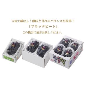 お中元 ぶどう ブラックビート 赤秀 700g...の詳細画像4