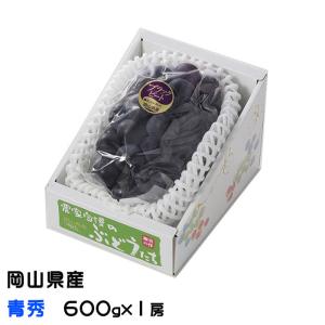 ぶどう ブラックビート 青秀 600g 1房 岡山県産 ＪＡおかやま ギフト 葡萄 ブドウ