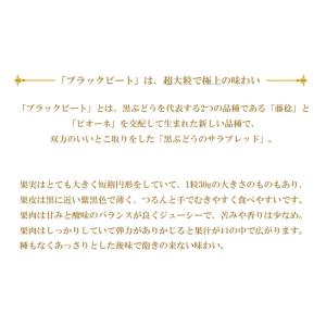 ぶどう ブラックビート 青秀 600g 1房 ...の詳細画像2