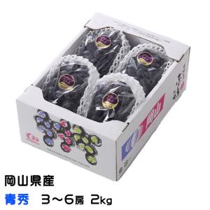 ぶどう ブラックビート 青秀 3〜6房 2kg 岡山県産 ＪＡおかやま ギフト 葡萄 ブドウ