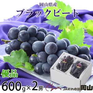 お中元 ぶどう ブラックビート 優品 600g×2房 岡山県産 ＪＡおかやま ギフト 葡萄 ブドウ｜hachiya-fruits