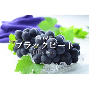 お中元 ぶどう ブラックビート 優品 600g...の詳細画像1