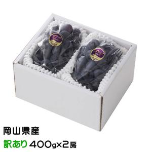 ぶどう ブラックビート 風のいたずら ちょっと訳あり 400g×2房 岡山県産 ＪＡおかやま ギフト 葡萄 ブドウ