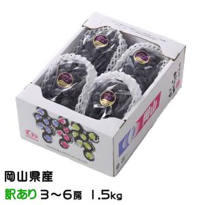 ぶどう ブラックビート 風のいたずら ちょっと訳あり 3〜6房 1.5kg 岡山県産 ＪＡおかやま ギフト 葡萄 ブドウ
