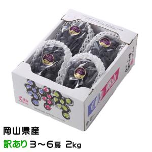 ぶどう ブラックビート 風のいたずら ちょっと訳あり 3〜6房 2kg 岡山県産 ＪＡおかやま ギフト 葡萄 ブドウ