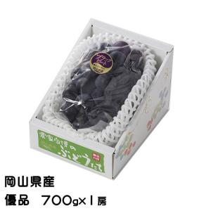 お中元 ぶどう ブラックビート 優品 700g 1房 岡山県産 ＪＡおかやま ギフト 葡萄 ブドウ
