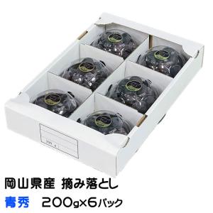 ぶどう ブラックビート 摘み落とし 青秀 200g x 6パック 岡山県産 ＪＡおかやま ギフト 葡萄 ブドウ
