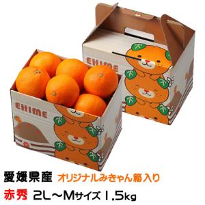 みかんの気持ち様御購入品 お歳暮 みかん 紅まどんな 〇等級 2L〜Mサイズ 1.5kg 6玉〜10玉