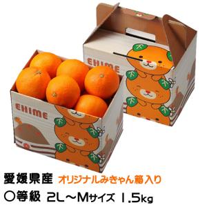 ☆みかん様☆ みかん様 ミカン様 ミカン様 蜜柑様 レビュー】ZXシリーズ10周年