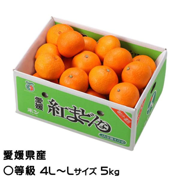 お歳暮 みかん 紅まどんな 〇等級 4L〜Lサイズ 5kg 愛媛県産 JAえひめ中央 中島選果場 ミ...