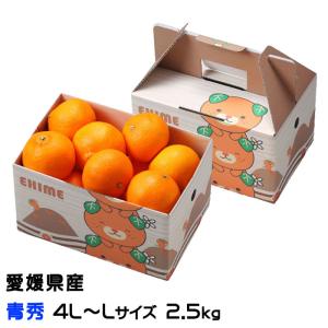 みかん 紅まどんな 青秀 4L〜Lサイズ 2.5kg みきゃん箱入 愛媛県産 JAえひめ中央 中島選果場 ミカン 蜜柑 ギフト お取り寄せ